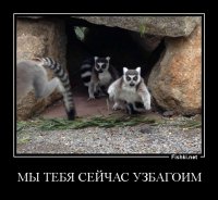 Через минуту...