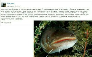 Смешные комментарии из социальных сетей 19.06.15