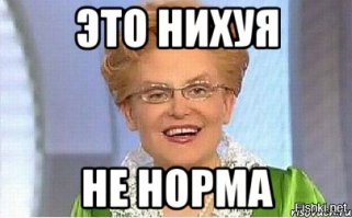 Сканирование кошки — вот то, ради чего действительно стоит жить