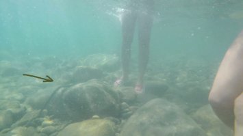 у меня вот неделю назад что было-че там далеко ходить!стал дома просматривать видео на море, которое делал экшн-камерой с семьей и случайно увидел что в одном моменте спугнули морскую змею!хорошо она просто проплыла возле ног супруги...а вот тогда мы ее не заметили.(стоп-кадры)