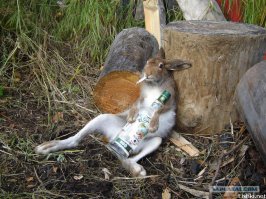 После стресса))