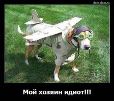 Пятничная подборка демотиваторов 