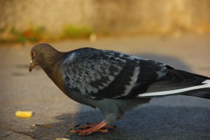 Раз все начали делиться фотками, я тоже добавлю: