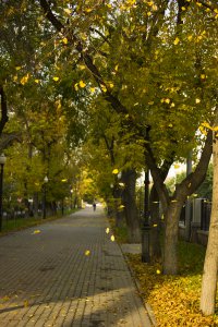 Раз все начали делиться фотками, я тоже добавлю: