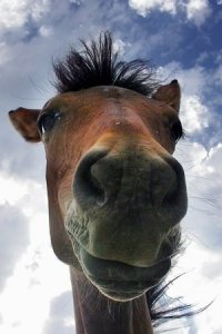 Собчак сравнили с говном! Яровая отказалась давать интервью Собчак 