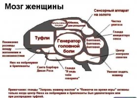 10 отличий девочек от мальчиков