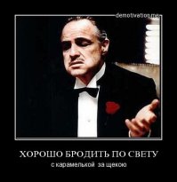 Топ 5 российских законов