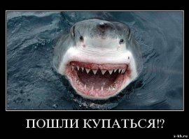 «Друг акул» — необычная жизнь Джима Абернети