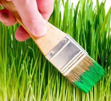 Незыблемая, старая Российская традиция красить траву к приезду начальства!