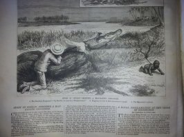 250-300 лет назад? Начало 20 века не хотите? Страницы журнала для охотников, ловля крокодила на живца.