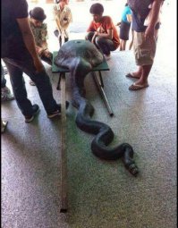 Неудачно пообедал