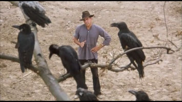 "Это тебе не люди. С ними можно договориться" :)