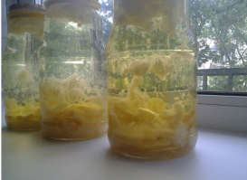 Лимонная настойка на C₂H₅OH,через пару недель,только сегодня поставил. (дай Бог дождаться).