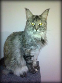 Тот же возраст без масштаба))