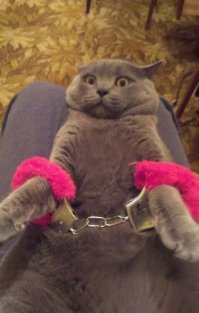 А этому не позволяют: