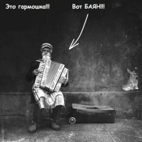 За ночь в Москве выпала почти месячная норма осадков