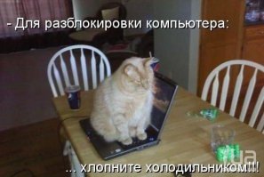 Когда твой кот не дает спокойно поиграть в приставку