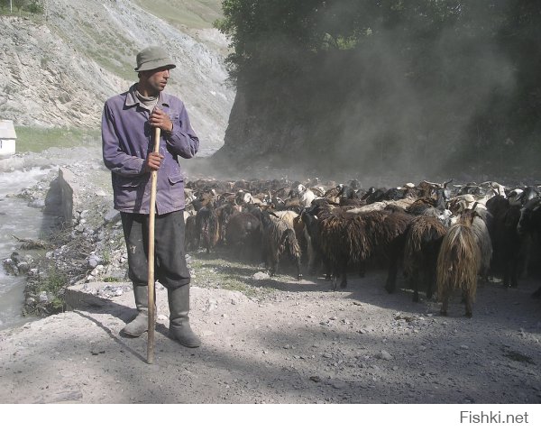 Ну, можешь в Таджикистане пастухом устроится. Работа на свежем воздухе, есть время для творчества и медитации.