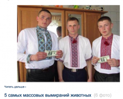 Сначала офигел, потом долго смеялся.