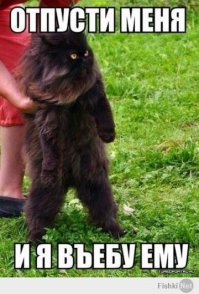 Фотоподборка за 22.06.2015