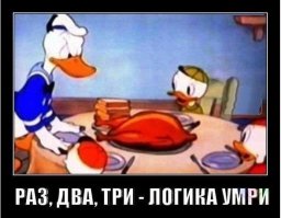 16 примеров по-настоящему железной логики