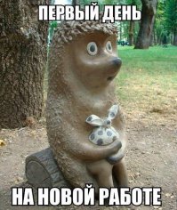 16 примеров по-настоящему железной логики