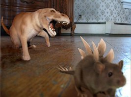 Увы, обмельчали динозавры.