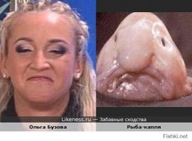 Самые удивительные животные