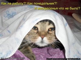 Понедельники - они такие...