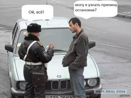 Женская логика в забавных фразах