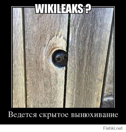 WikiLeaks ?