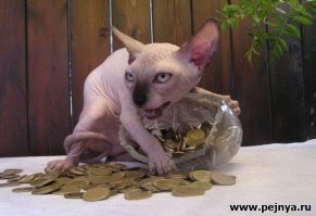 Террористы ИГИЛ начали чеканить собственные монеты