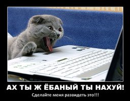 Мастера провинциальной романтики в деле