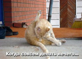 Новая жизнь для старых джинсов