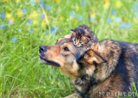 Вот спасибо,позитивчик с утра 
А то от хохлосрача уже тошит