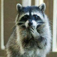 А мне его жаль. Похмельем мучиться будет.