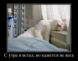 20 открыток о том, как сложно просыпаться по утрам