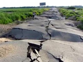 присоски говоришь...