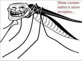 10 способов борьбы с комарами и их укусами