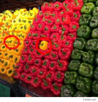 Что-то как-то на фотошоп похоже, не отсюда ли сей перец!