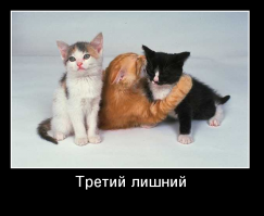 13 случаев, когда третий действительно лишний