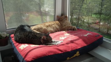 Я,посплю,а тебе на работу;)