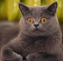 19 фотографий, доказывающих, что лень - двигатель прогресса 