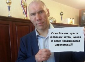 21 кот, которому повезло в жизни больше, чем вам