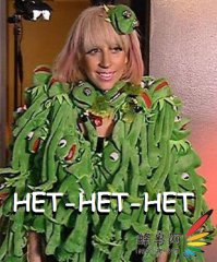 13 наглых птиц-хулиганов, терроризирующих человечество 