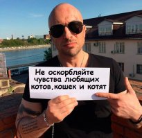 21 кот, которому повезло в жизни больше, чем вам