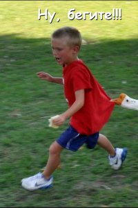 13 наглых птиц-хулиганов, терроризирующих человечество 