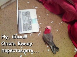 Хакер, блин!!!