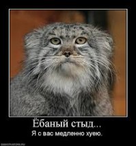 «22 июня? Не знаю, я тогда работал» — владивостокцы ответили на вопрос
