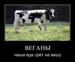 бОльших?? Удобрение,полив(это к экономии воды,кстати),обработка химикатами от вредителей.Плюс генная инженерия,в животноводстве запрещённая,в растениеводстве процветает. Транспортировка большинства сель хоз культур гораздо дороже чем мяса,так как в один кубометр объёма можно положить один куб мороженого мяса или 3 пучка укропа - что бы не помялся. Так же выращивание/хранение овощей требует определённых температур/ влажности/ освещения в гораздо большей мере чем скотина.